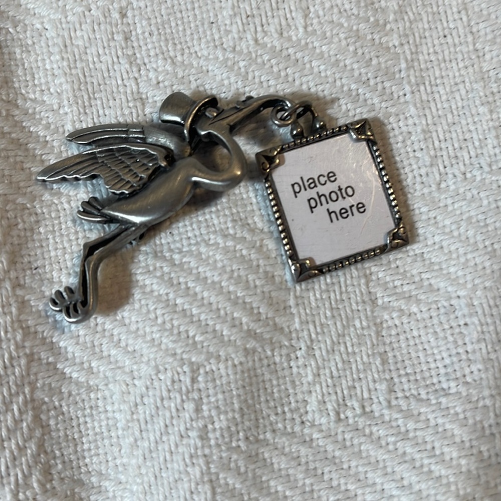 Adorable pin stork holding picture